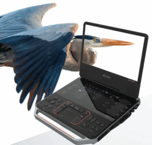 Heron-0